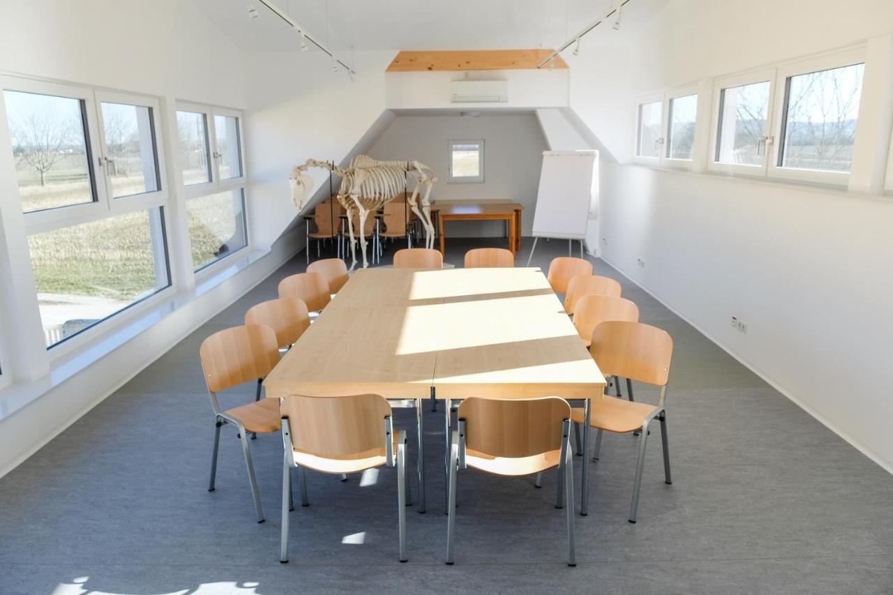 Equiliber Reitkunstzentrum Burgenland Wulkaprodersdorf Екстериор снимка